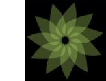 New Energy Times Web Site